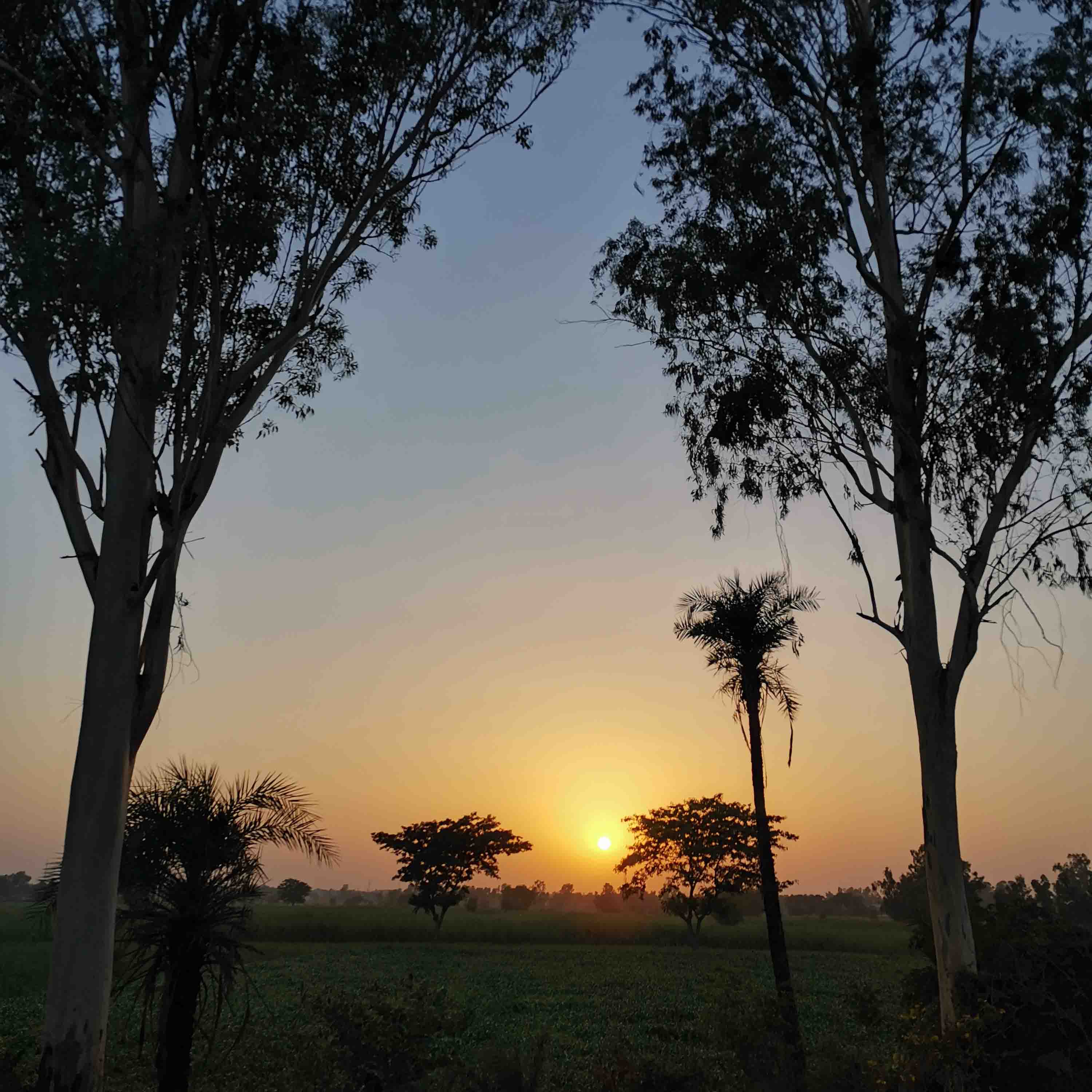 Fotografía-Belleza-de-la-naturaleza-capturada-por-HONOR-20