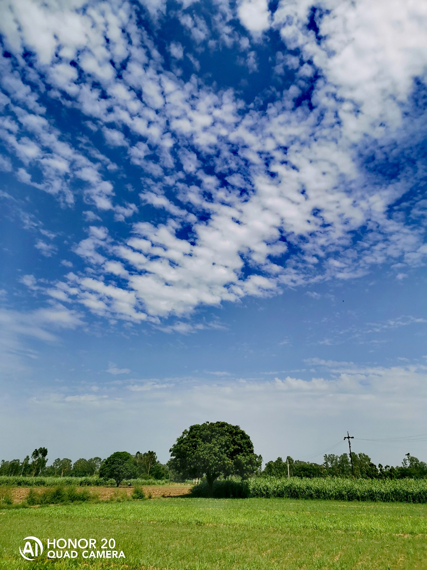 Fotografía-Belleza-de-la-naturaleza-capturada-por-HONOR-20