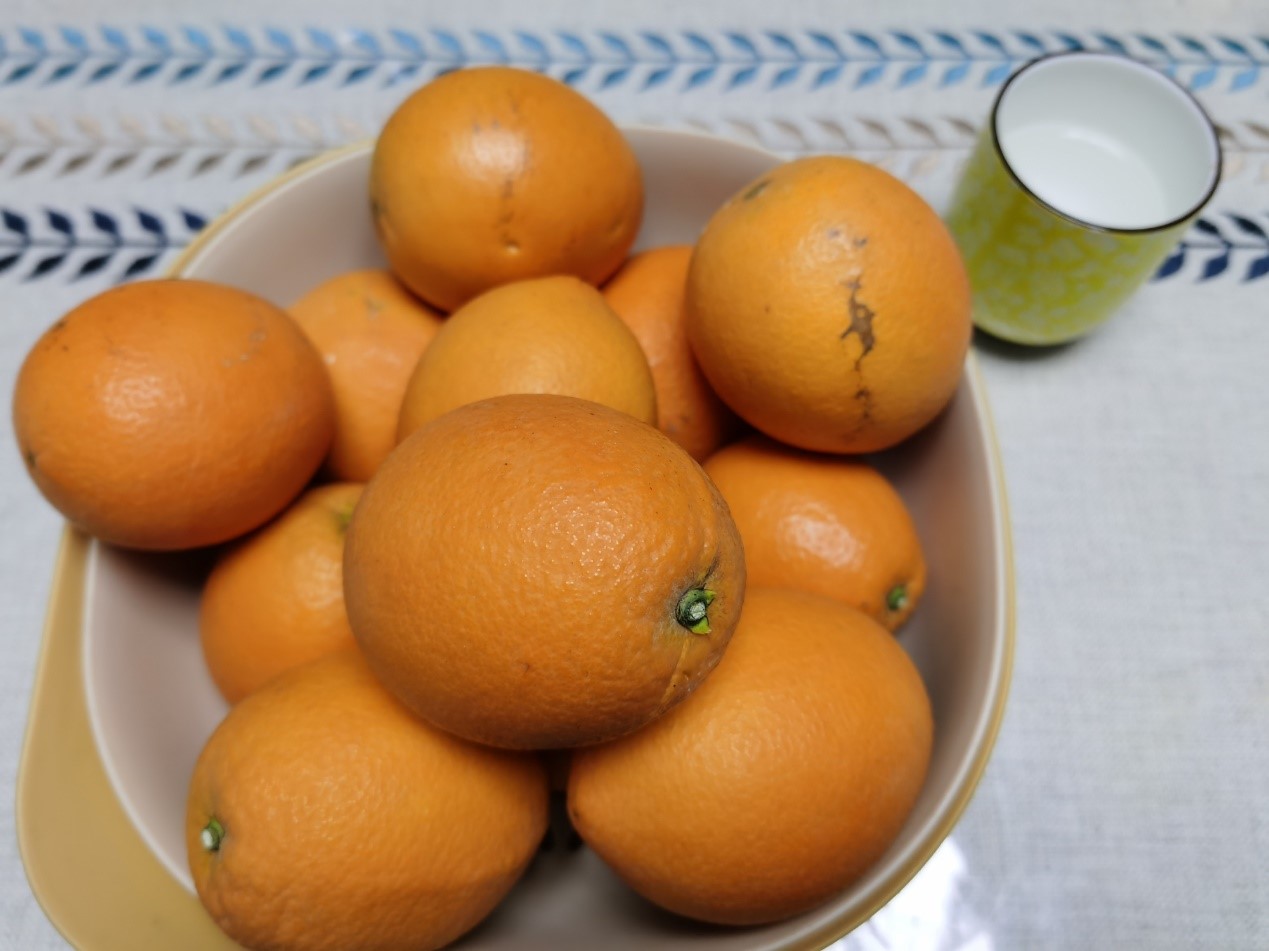 HONOR-View-30-Pro-Fotografía-fiel-a-la-vida-que-está-fuera-de-este