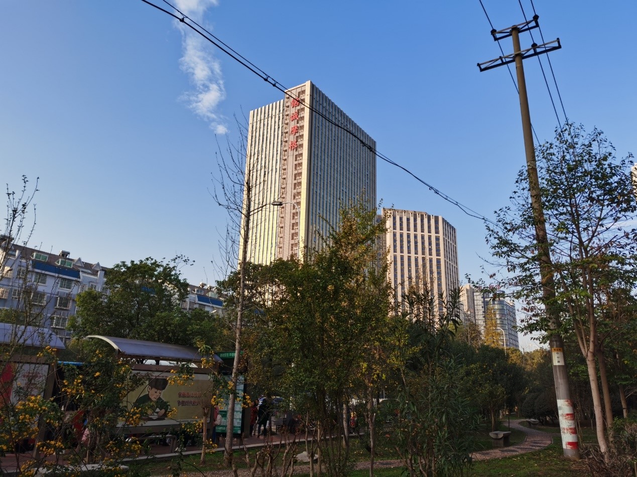 HONOR-View-30-Pro-Fotografía-fiel-a-la-vida-que-está-fuera-de-este