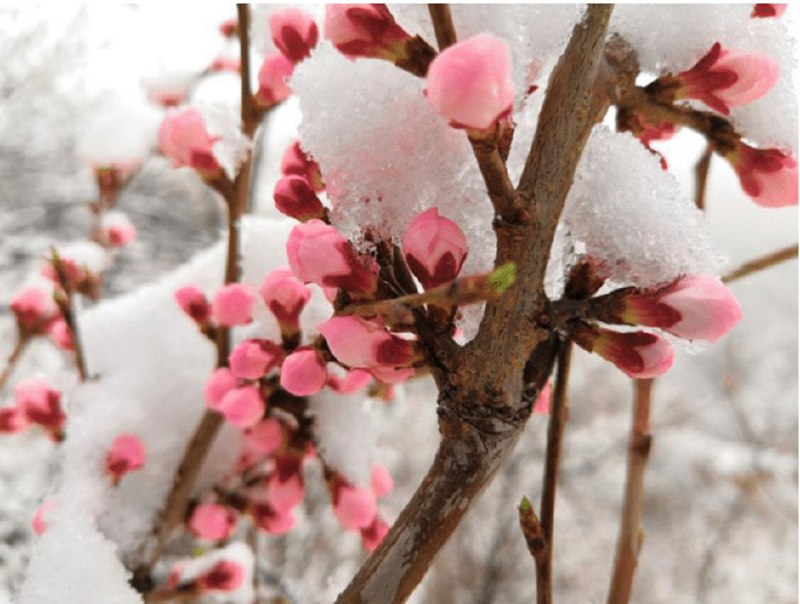 Todo-lo-que-tienes-que-saber-sobre-el-Honor-10