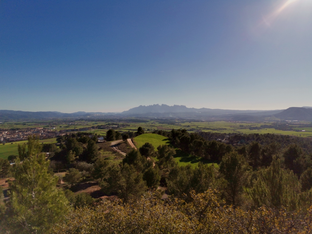 pimg-srchttpsiforum-dechihonorcomesdataimages2020928ced1b5c1-a62e-4025