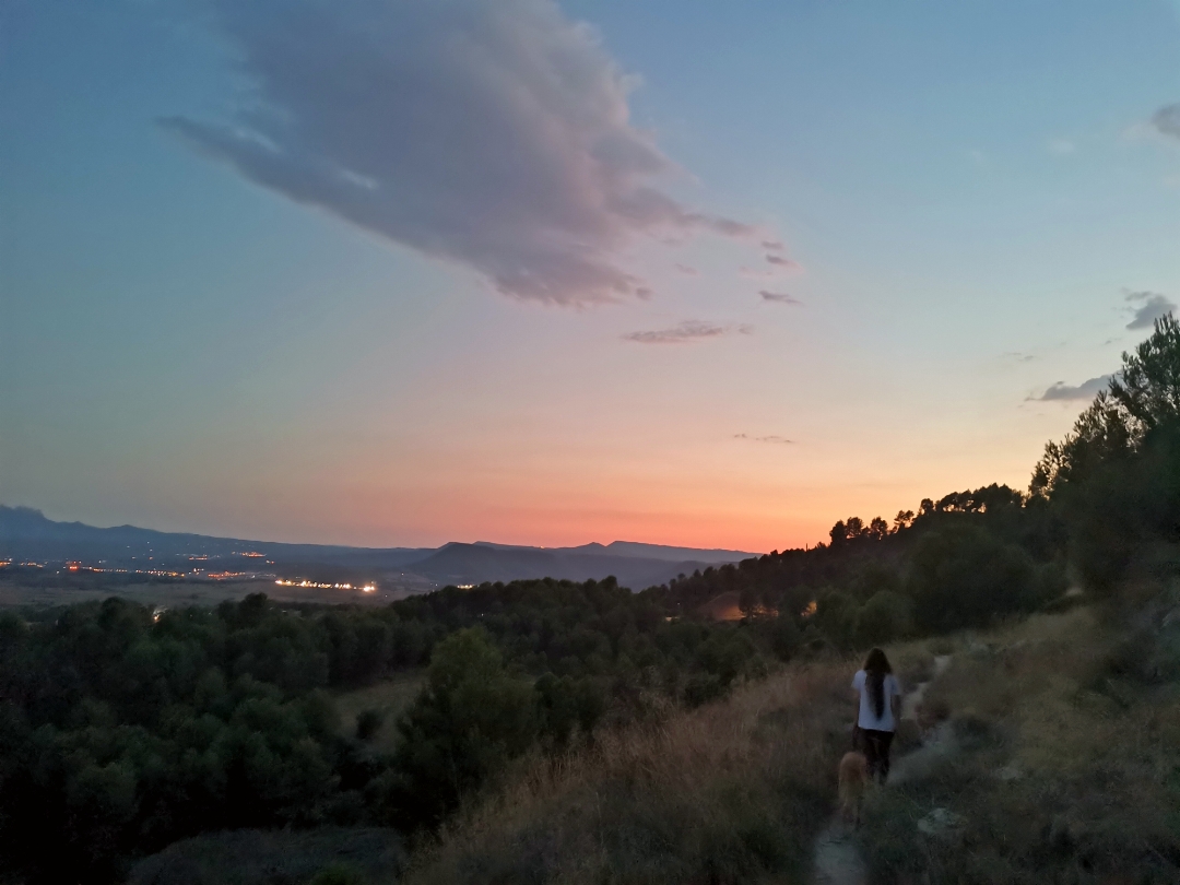 pimg-srchttpsiforum-dechihonorcomesdataimages2020928ced1b5c1-a62e-4025