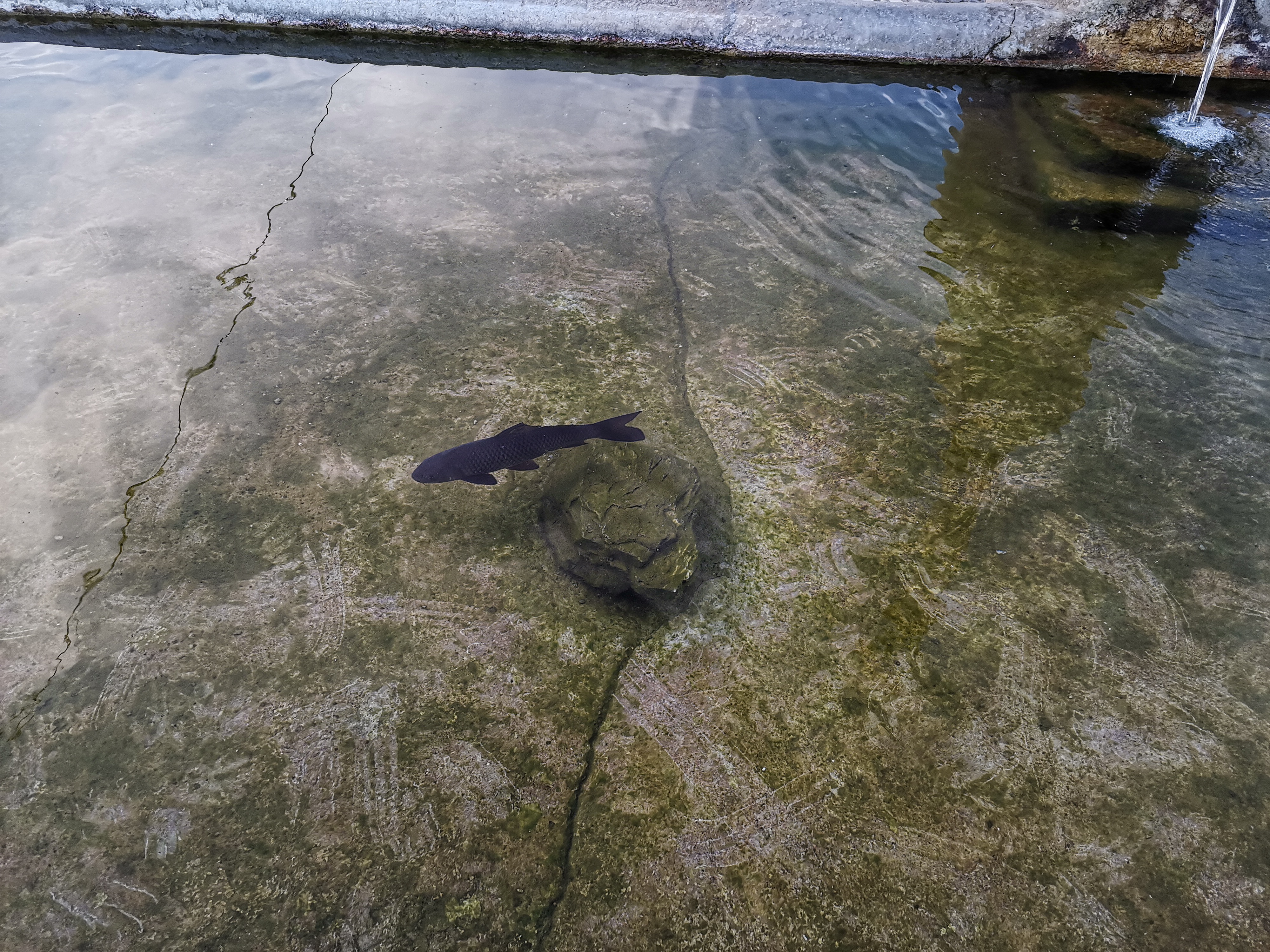 HONOR-9X-PRO-fotografías-y-HDR