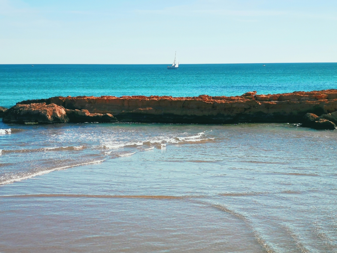 FotografíanbspHonornbsp20nbsppro