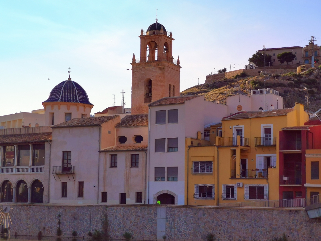 FotografíanbspHonornbsp20nbsppro