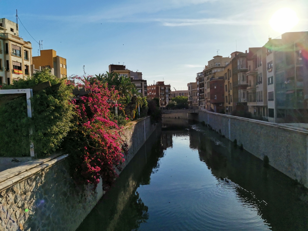 FotografíanbspHonornbsp20nbsppro