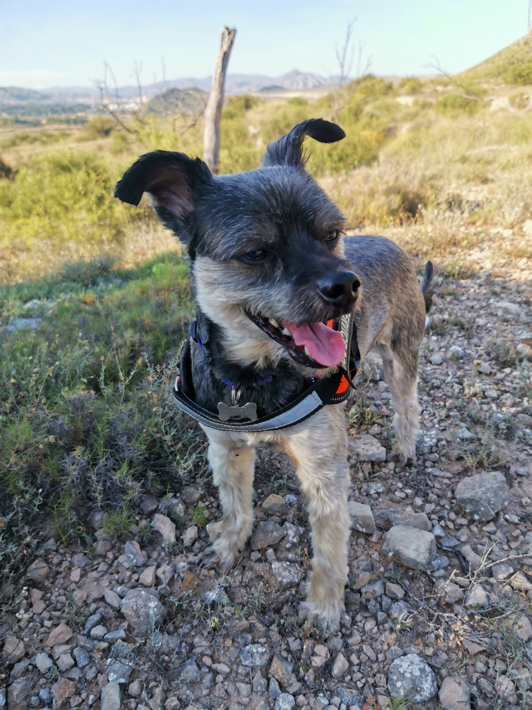 FotografíanbspHonornbsp20nbsppro