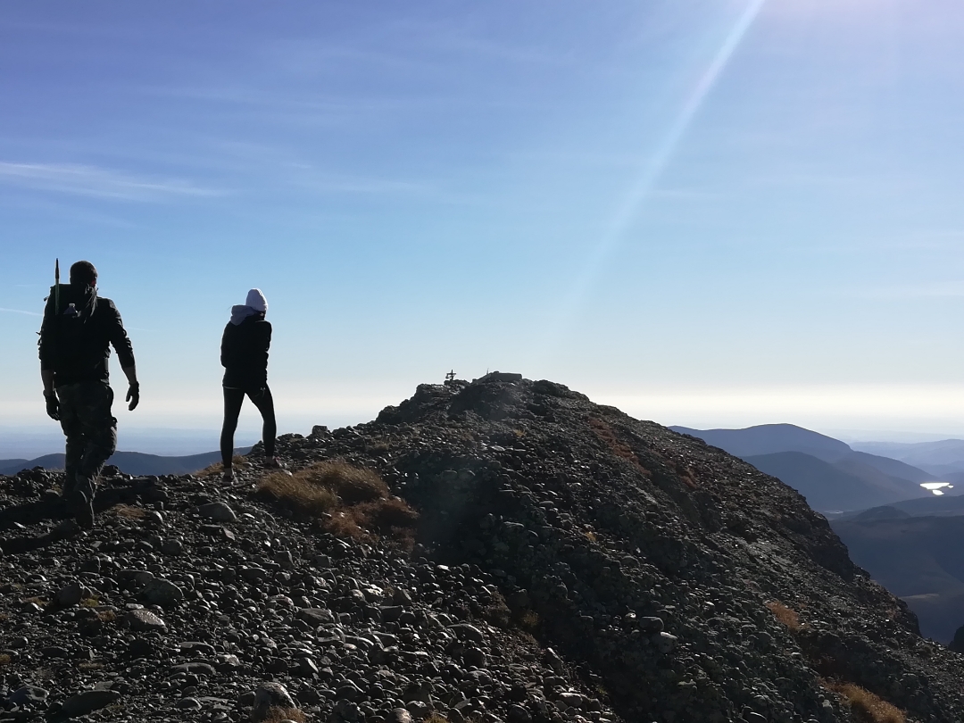 pCon-el-lanzamiento-del-nuevo-HONOR-MAGIC-WATCH-GS-PRO-muchos-serán