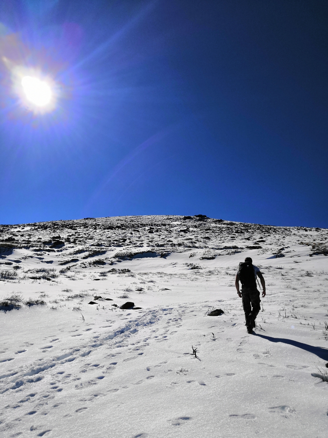 pCon-el-lanzamiento-del-nuevo-HONOR-MAGIC-WATCH-GS-PRO-muchos-serán