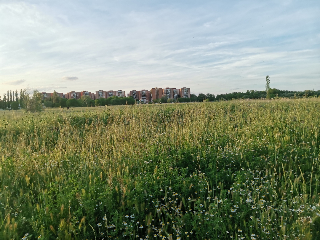 Fotosnbsphonornbsp20nbsppro