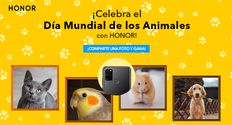 pspan-stylefont-size18pxspanHola-HONOR-FansbrbrMuchas-gracias-a-todos