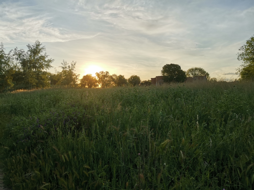 Fotosnbsphonornbsp20nbsppro