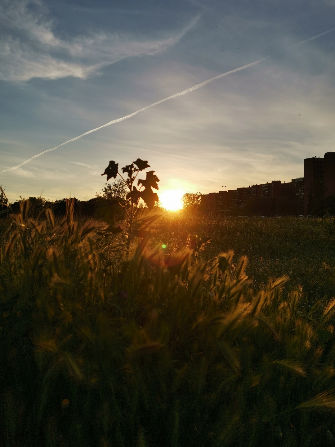 Fotosnbsphonornbsp20nbsppro