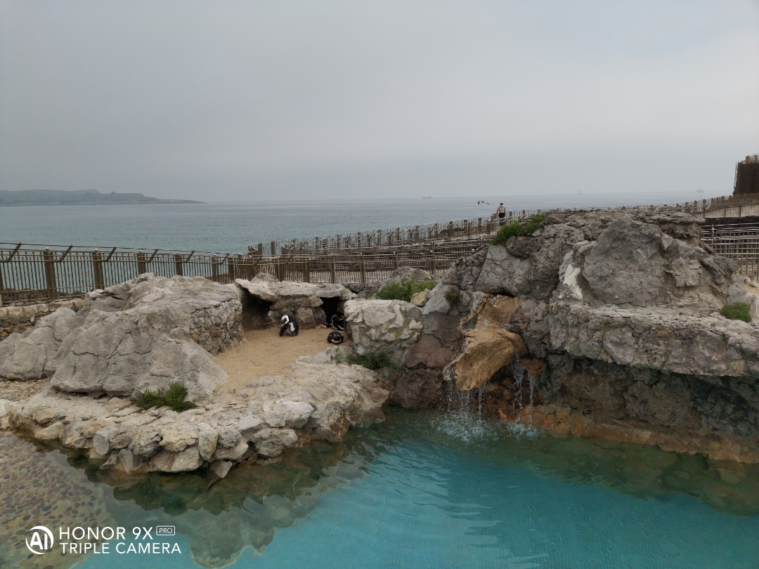 Cámaranbspynbspmarconbspdenbspopinión