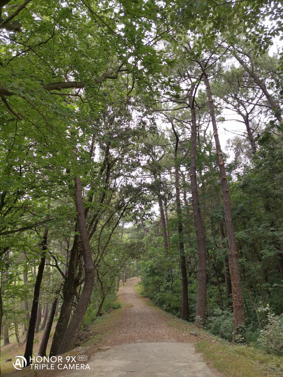 Cámaranbspynbspmarconbspdenbspopinión