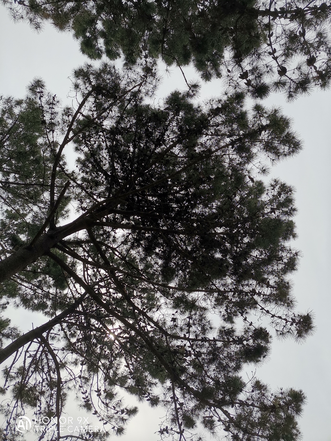 Cámaranbspynbspmarconbspdenbspopinión