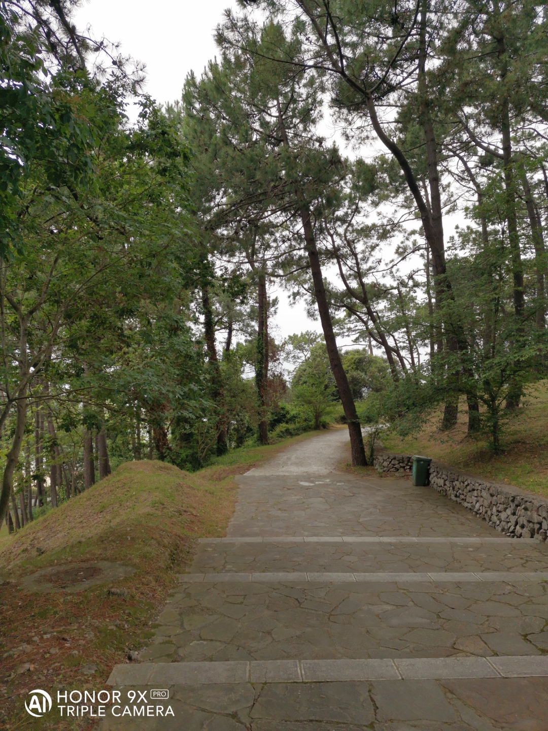 Cámaranbspynbspmarconbspdenbspopinión