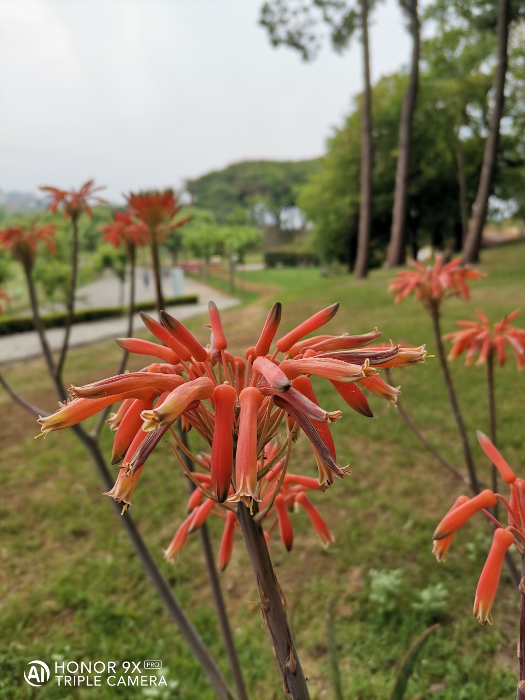 Cámaranbspynbspmarconbspdenbspopinión