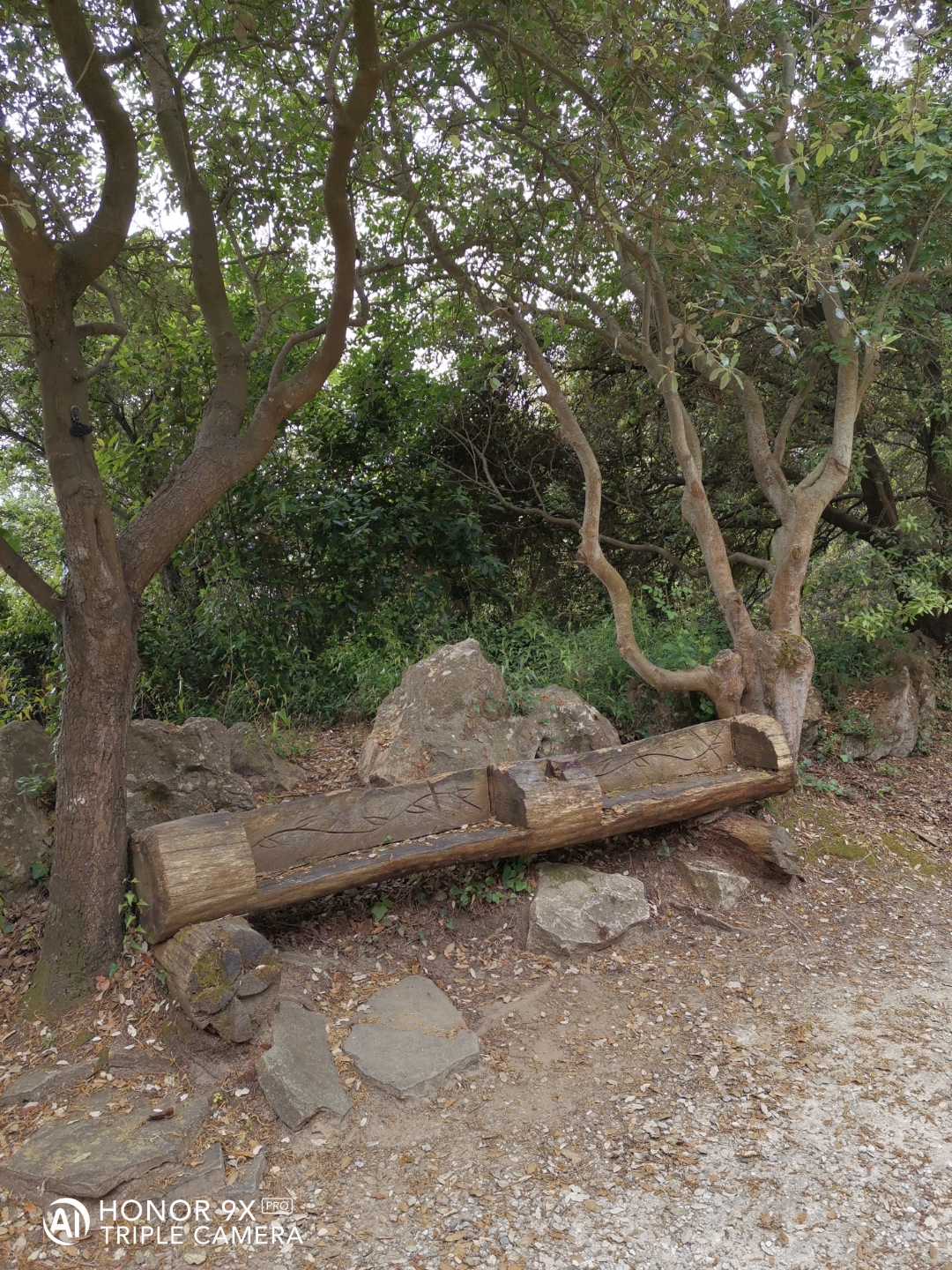 Cámaranbspynbspmarconbspdenbspopinión