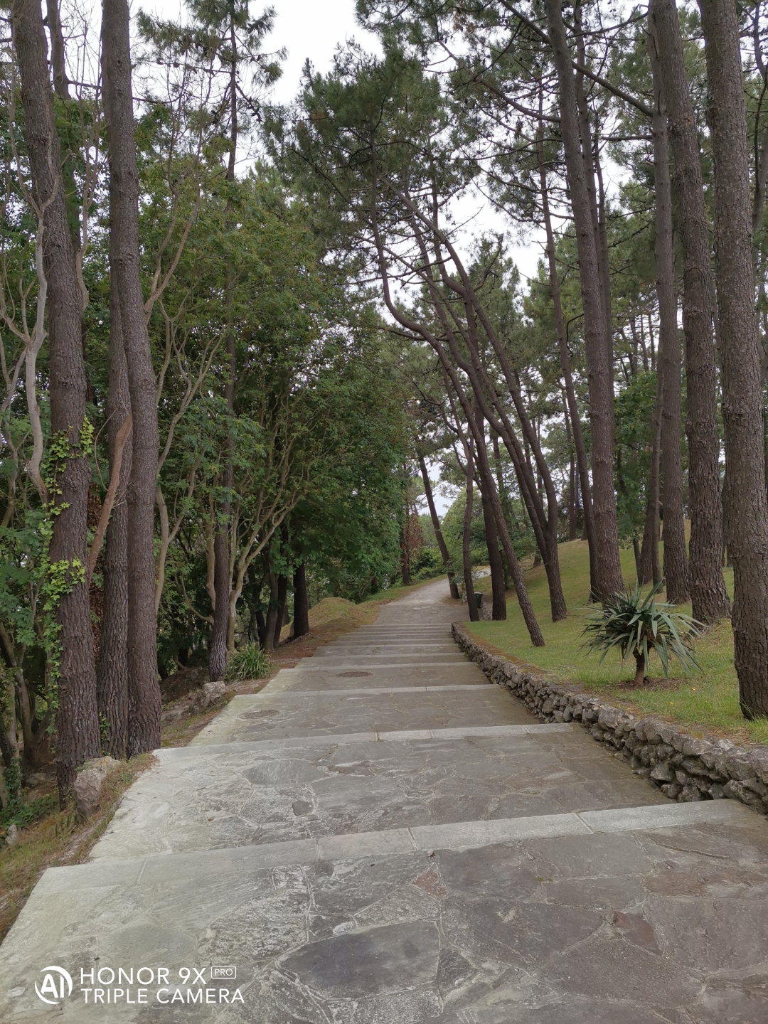 Cámaranbspynbspmarconbspdenbspopinión