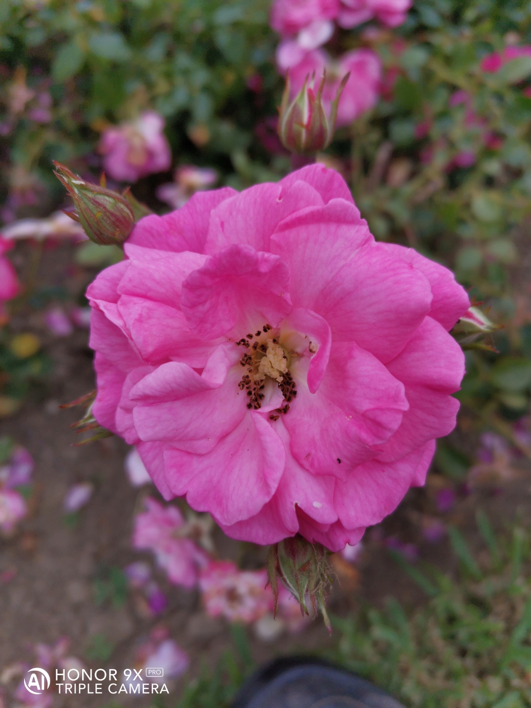 Cámaranbspynbspmarconbspdenbspopinión