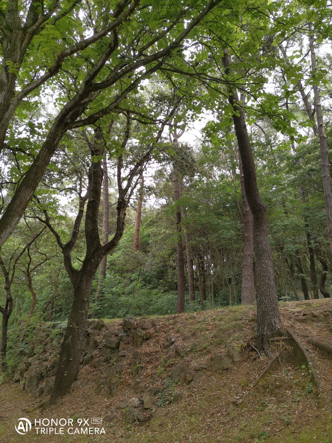 Cámaranbspynbspmarconbspdenbspopinión