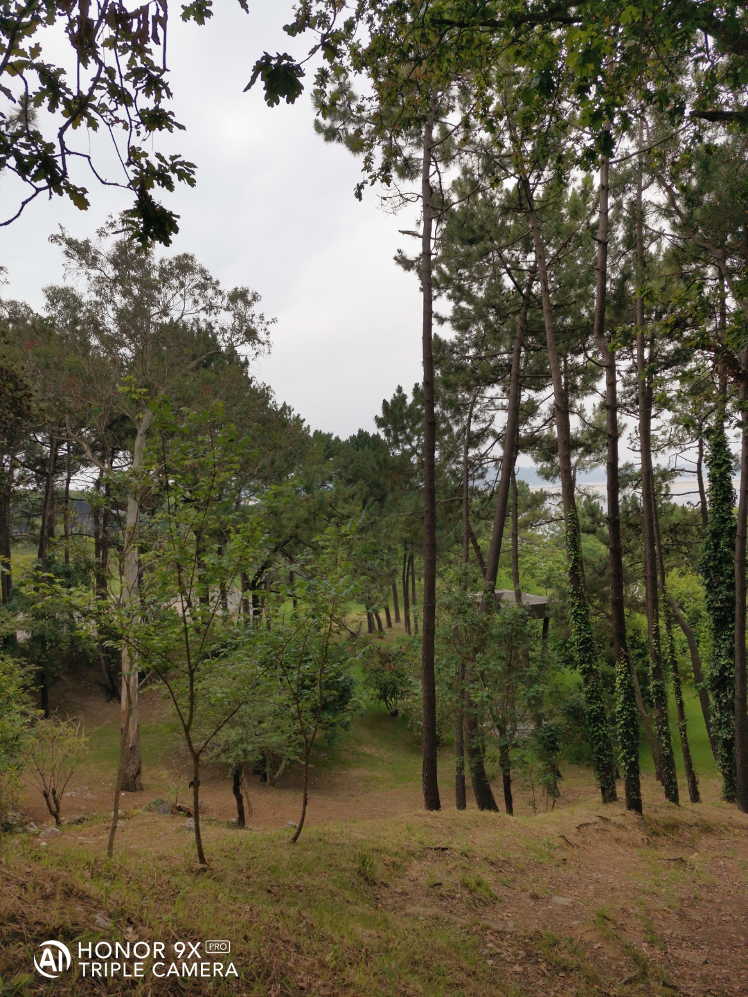 Cámaranbspynbspmarconbspdenbspopinión