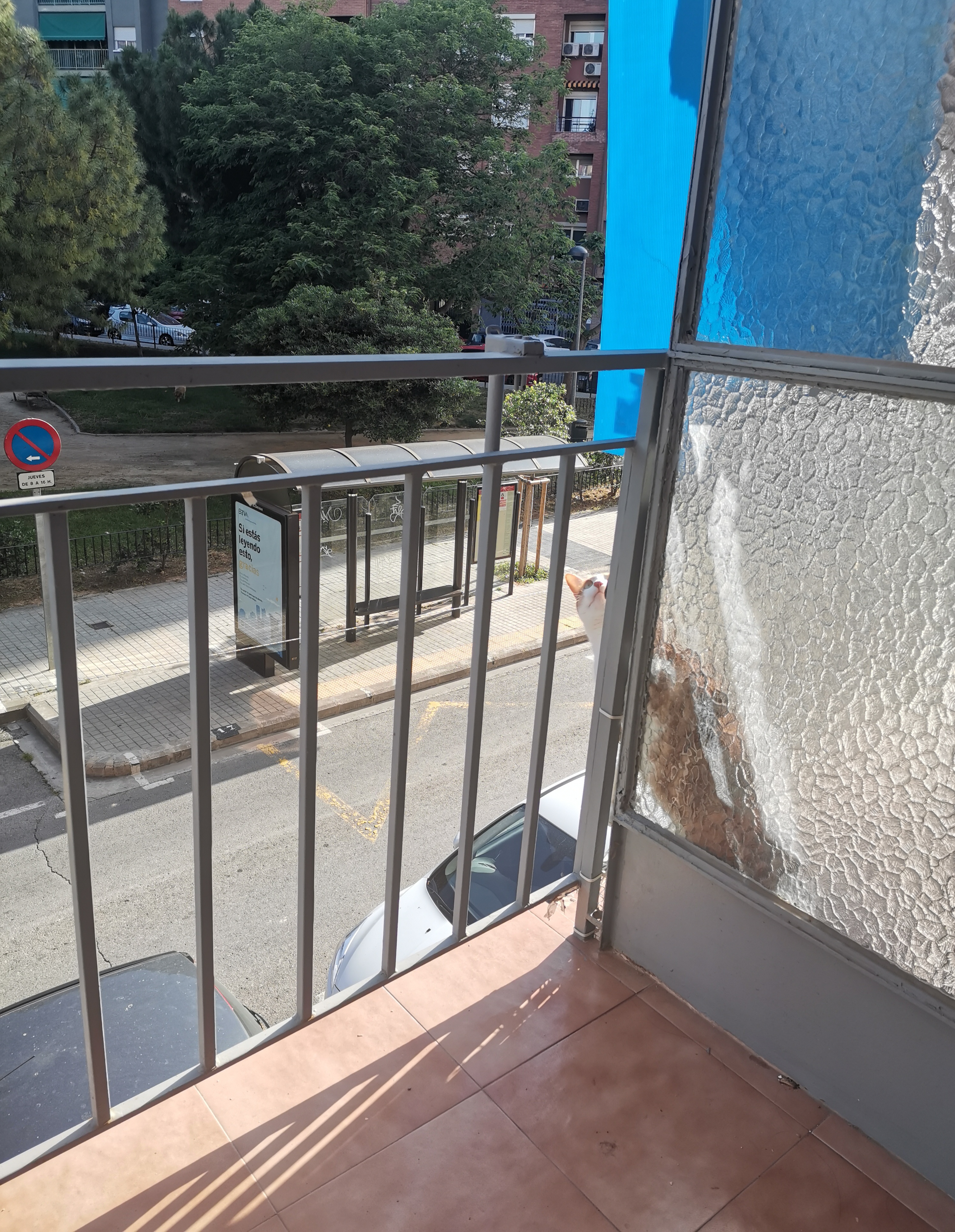 pimg-srchttpsiforum-dechihonorcomesdataimages2021126d3ba849b-a0de-4089