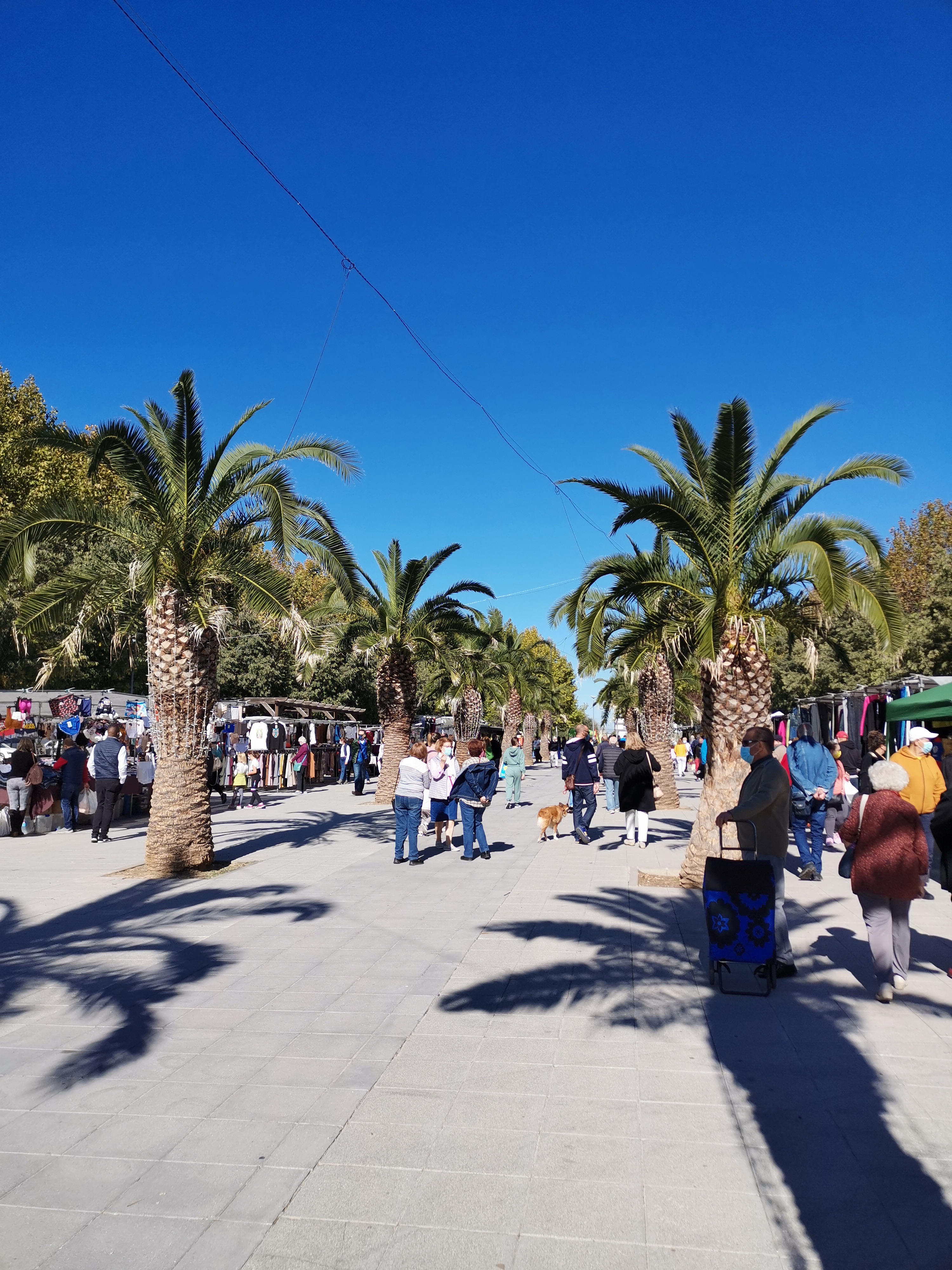 pimg-srchttpsiforum-dechihonorcomesdataimages202110277cbfb897-def7