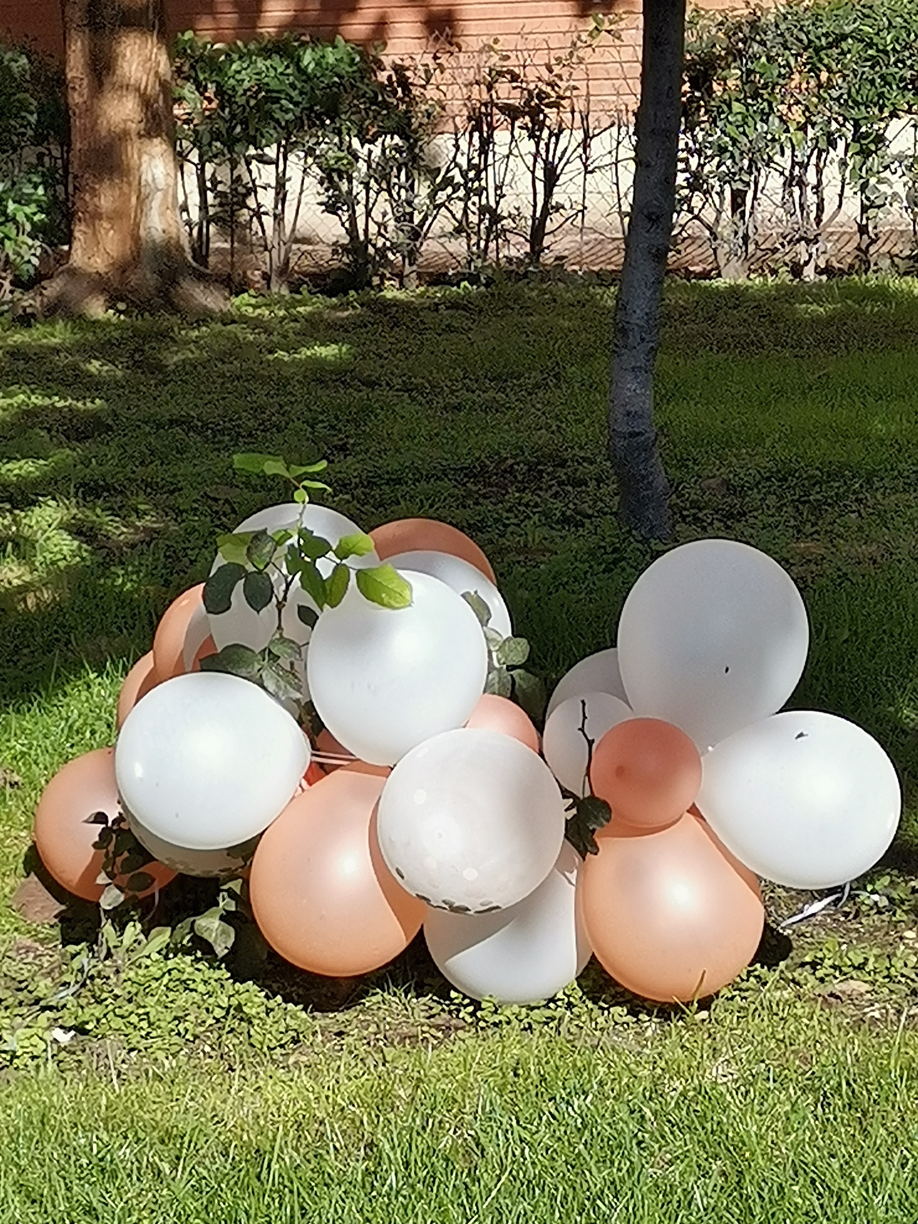 pimg-srchttpsiforum-dechihonorcomesdataimages20211146efe89b7-3197-46c4