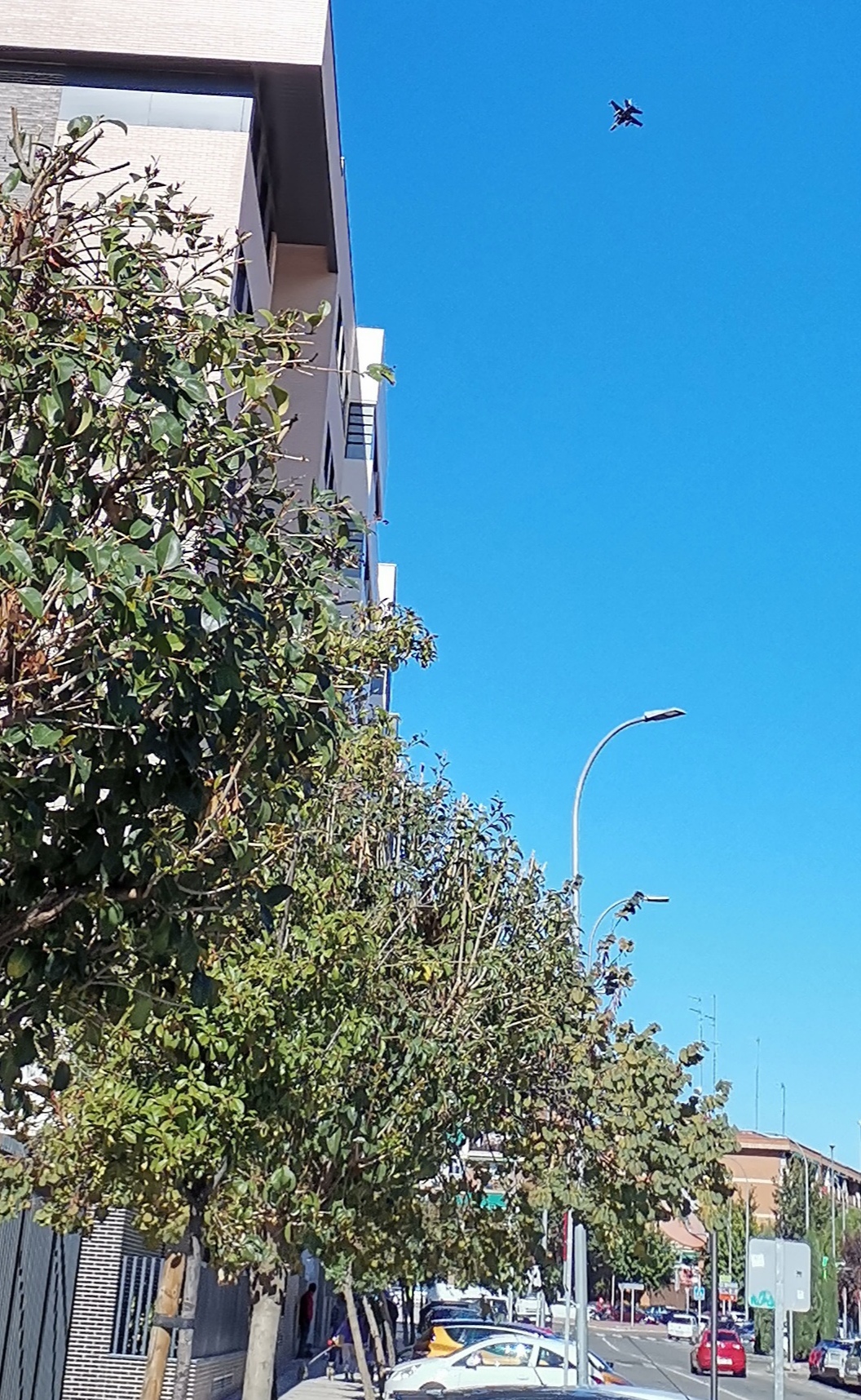 pimg-srchttpsiforum-dechihonorcomesdataimages202111743bc6456-b333-4cfb