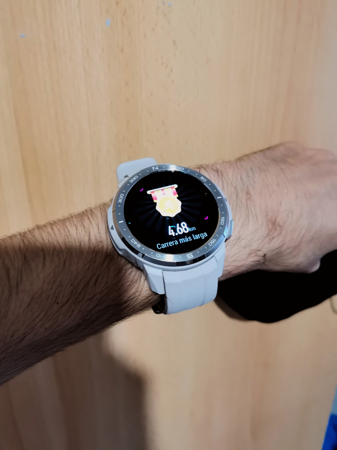 pBienvenidos-a-valoración-respecto-al-Honor-Watch-GS-Proppimg