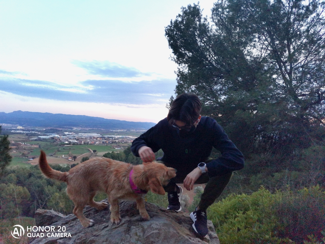 pBienvenidos-a-valoración-respecto-al-Honor-Watch-GS-Proppimg