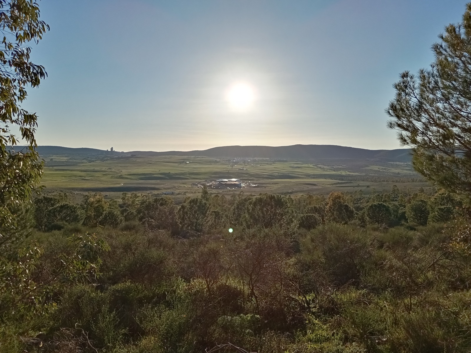 pBuenas-tardesppA-raiz-del-a