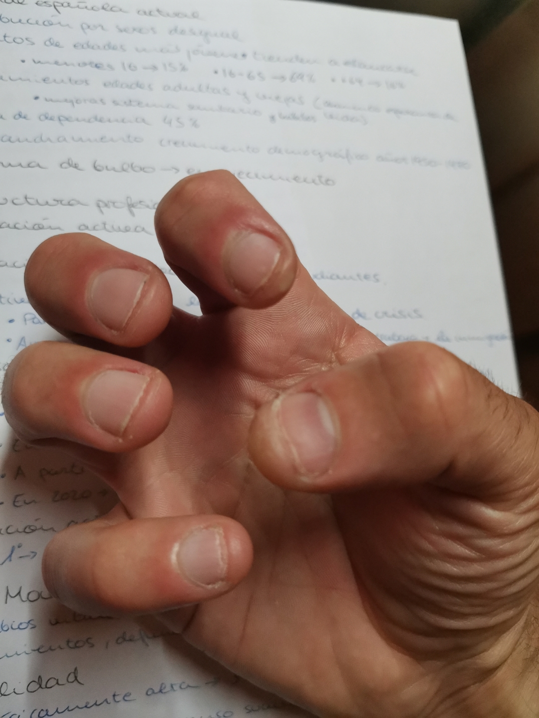 pimg-srchttpsiforum-dechihonorcomesdataimages20212486fcbdf4-8f65-4c92