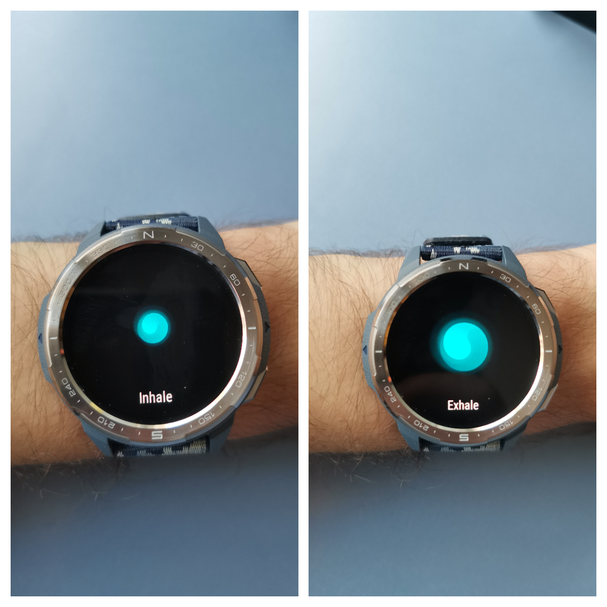 pBuenas-tardes-comunidad-me-he-dado-cuenta-de-que-no-hice-ningún-post