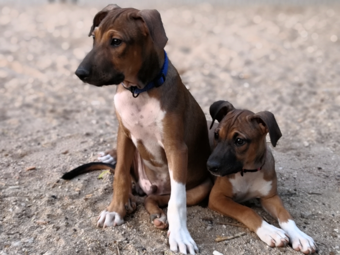 pbrppbrppa-hrefhttpscommunityhihonorcomspainusercenteruserId19053