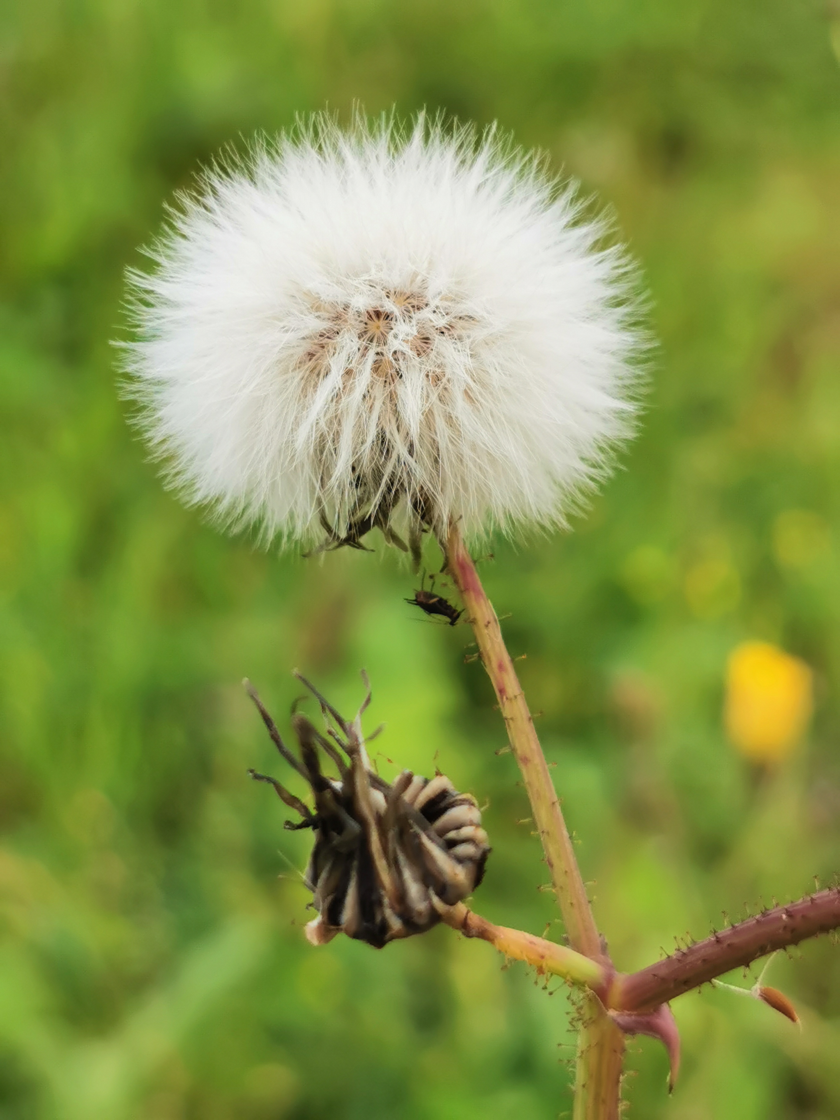 pbrppbrppa-hrefhttpscommunityhihonorcomspainusercenteruserId19053