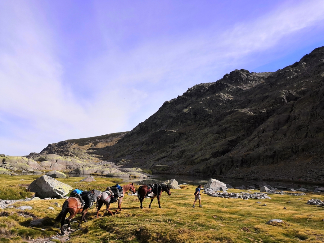 pbrppbrppa-hrefhttpscommunityhihonorcomspainusercenteruserId19053