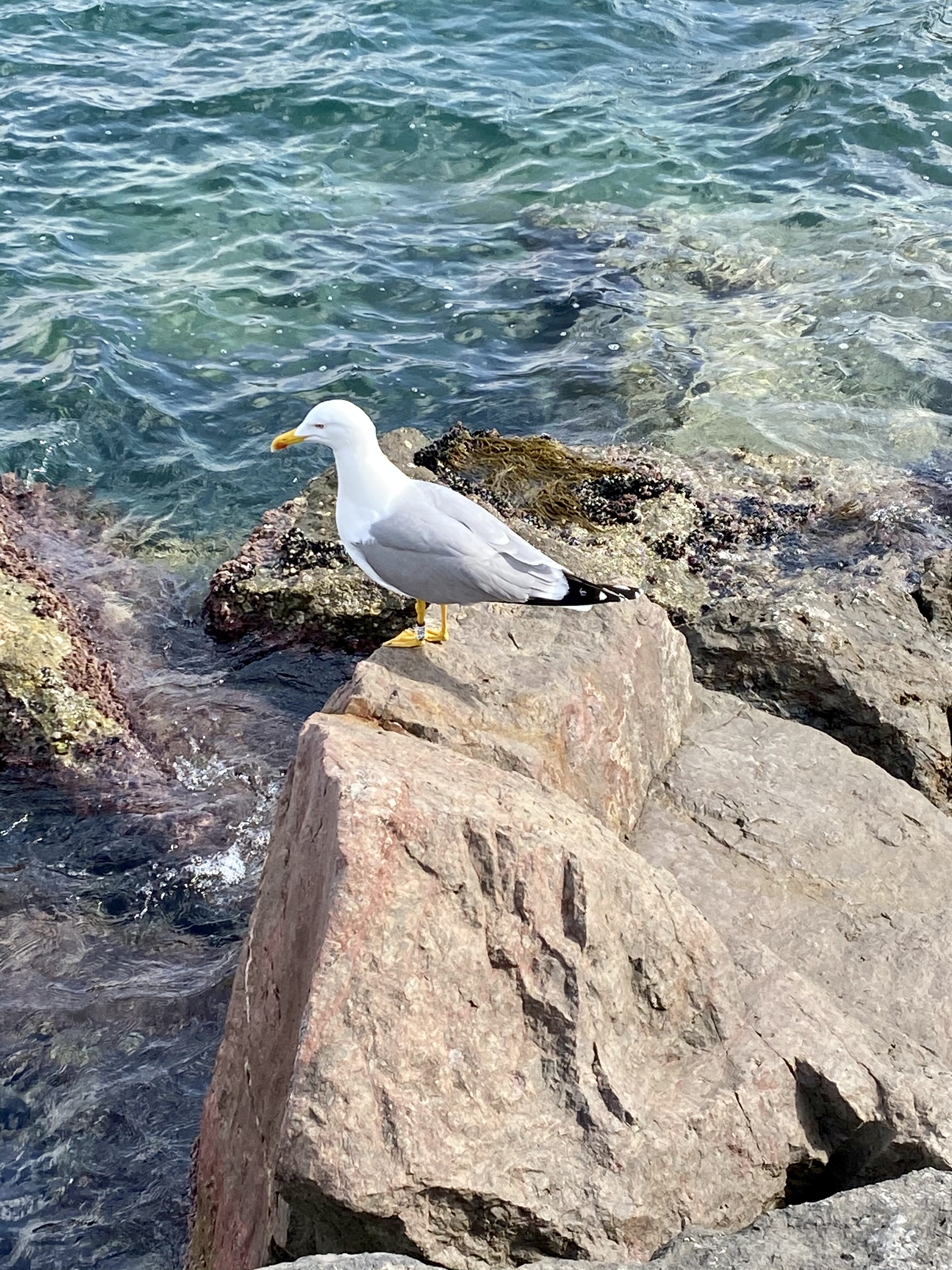 pbrppbrppa-hrefhttpscommunityhihonorcomspainusercenteruserId19053