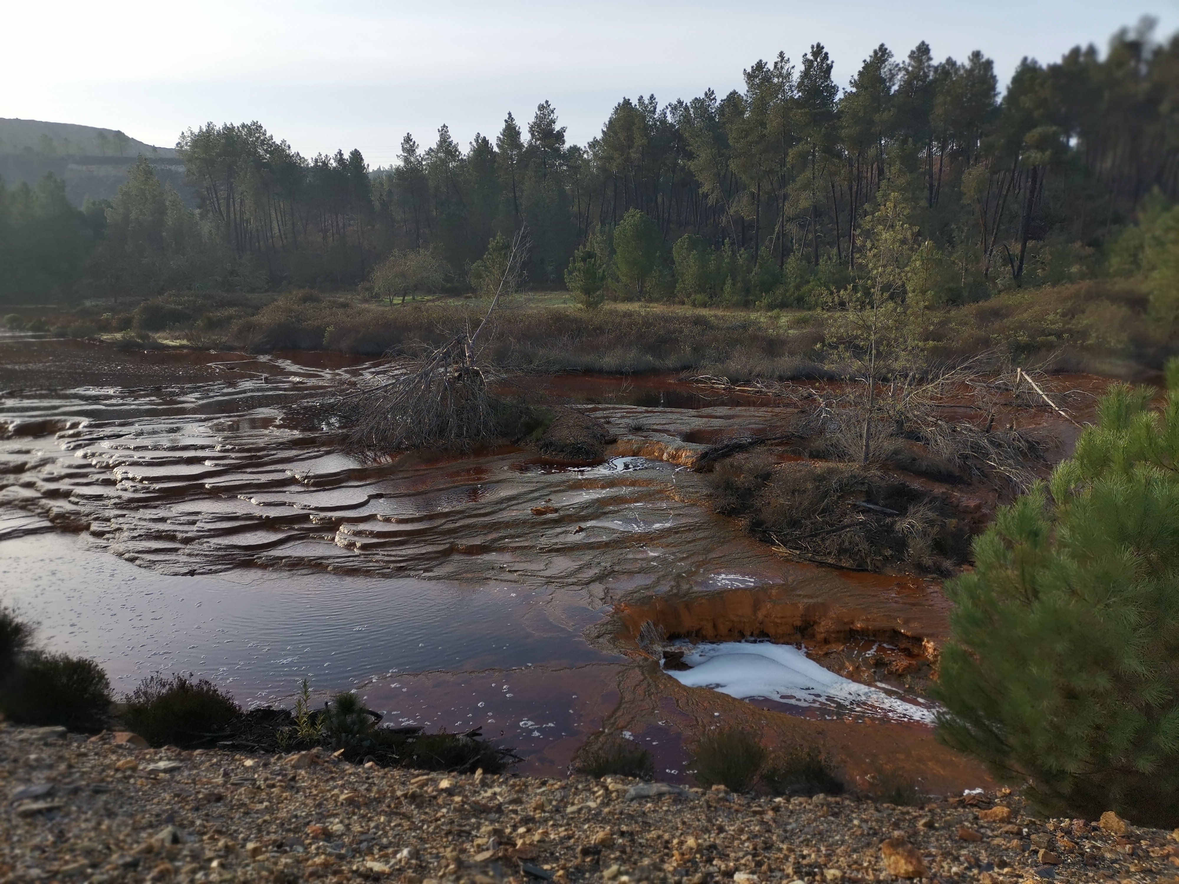 pEntrenará-y-compartiría-losnbspspanHONOR-Watch-ES-y-un-HONOR