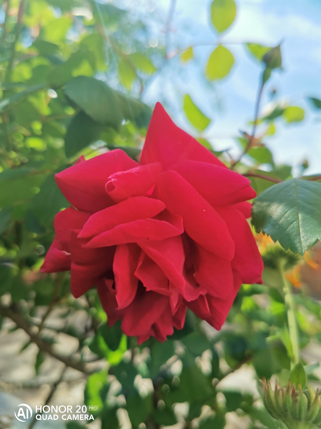 pspanGracias-a-todos-por-participar-en-nuestro-último-concurso-de