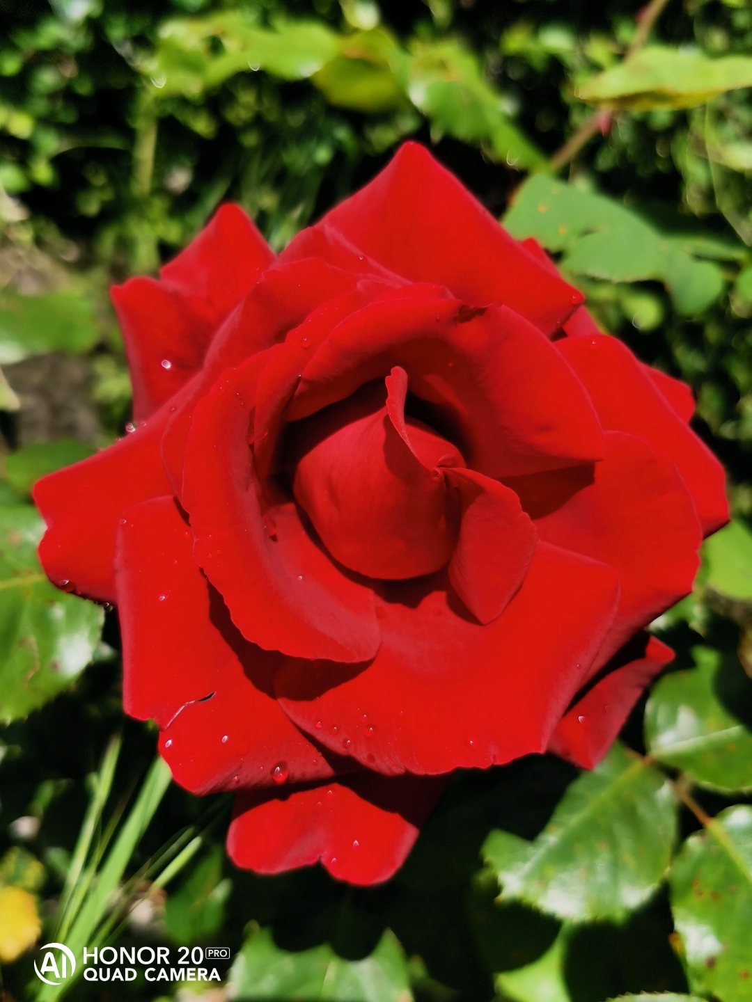 pspanGracias-a-todos-por-participar-en-nuestro-último-concurso-de