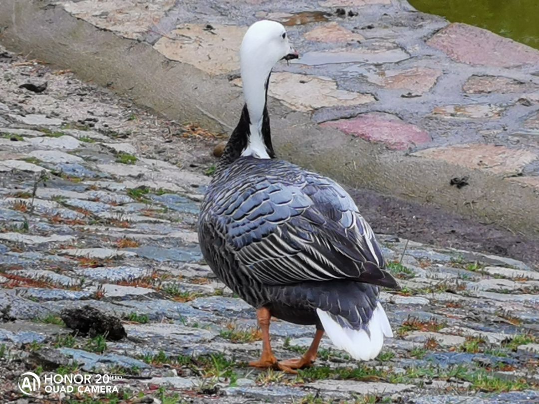 pa-hrefhttpscommunityhihonorcomspainusercenteruserId22621-targetblank