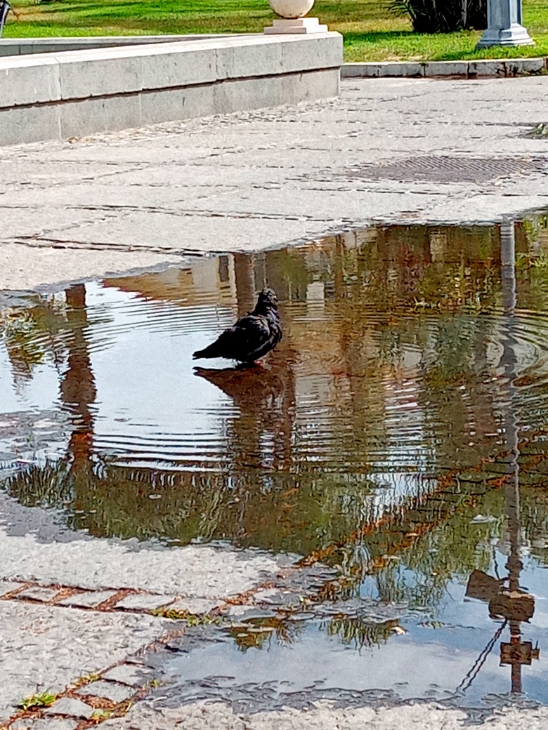 pimg-srchttpsiforum-dechihonorcomesdataimages202172267c27be1-9555-4300