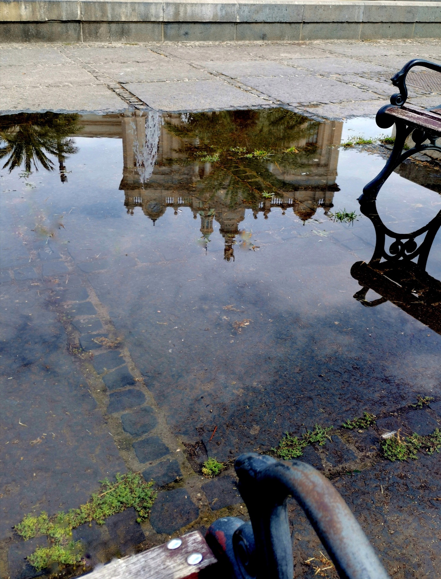 pimg-srchttpsiforum-dechihonorcomesdataimages202172267c27be1-9555-4300