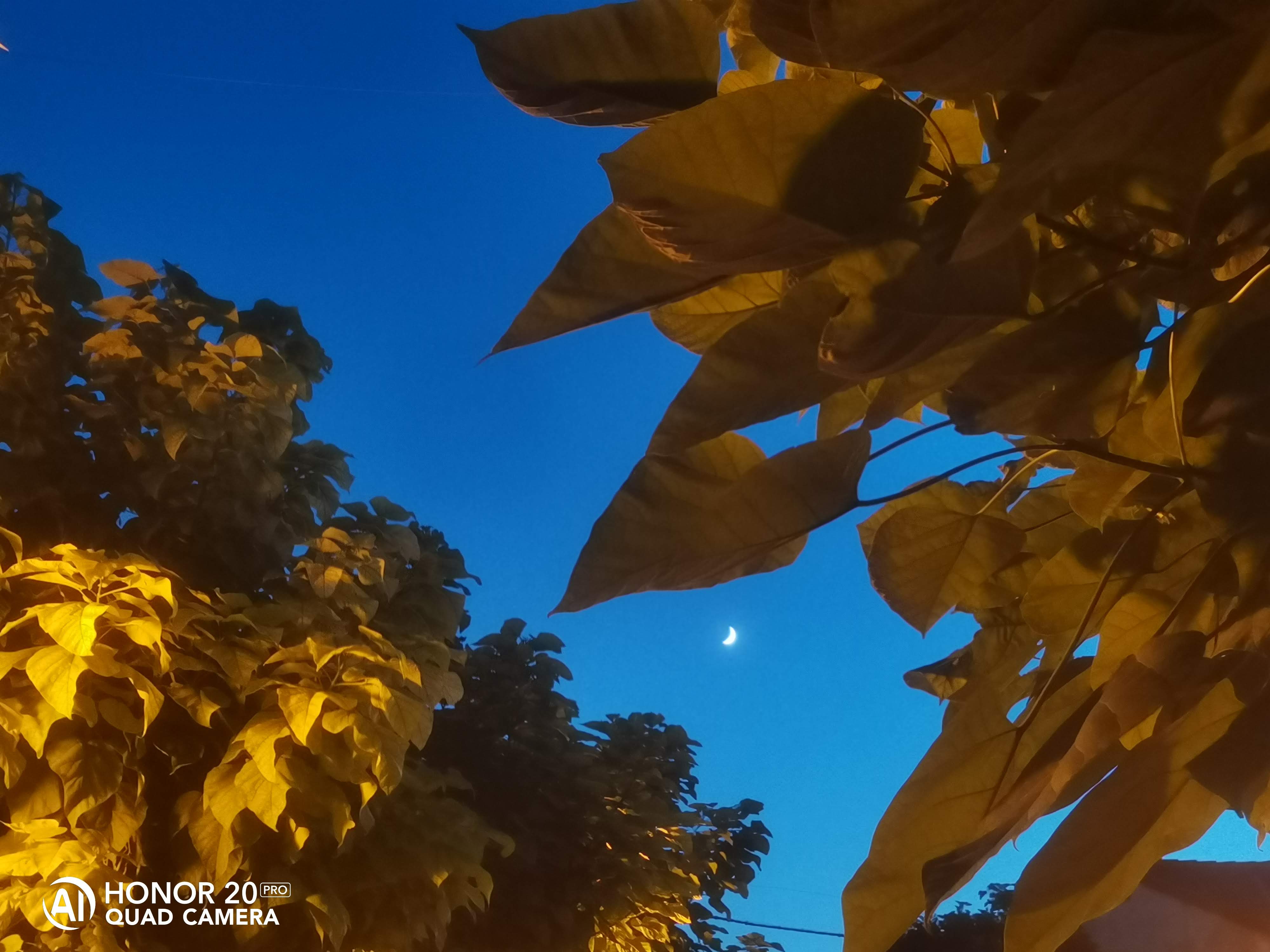 pA-veces-solo-basta-con-mirar-al-cielo-para-que-te-saque-una