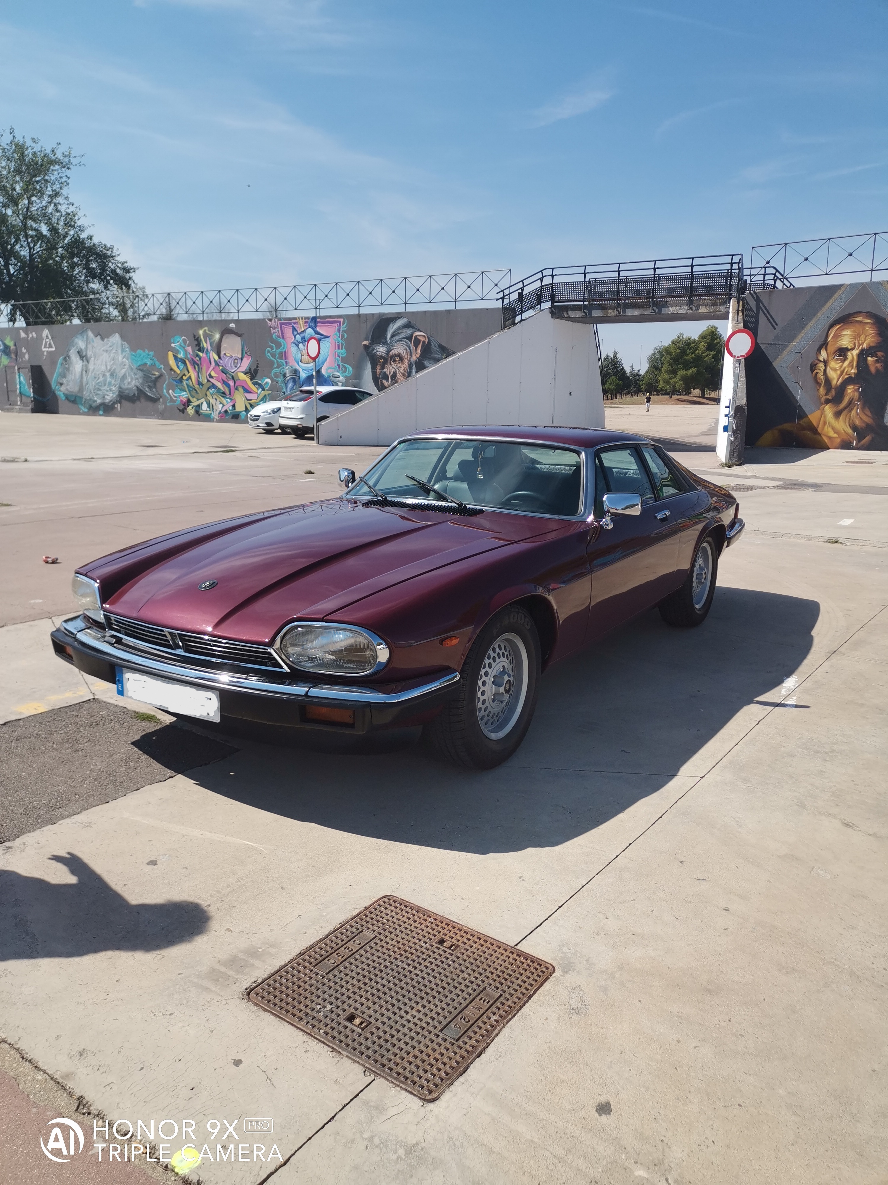 pimg-srchttpsiforum-dechihonorcomesdataimages2021927360b1c71-2c3c-4838