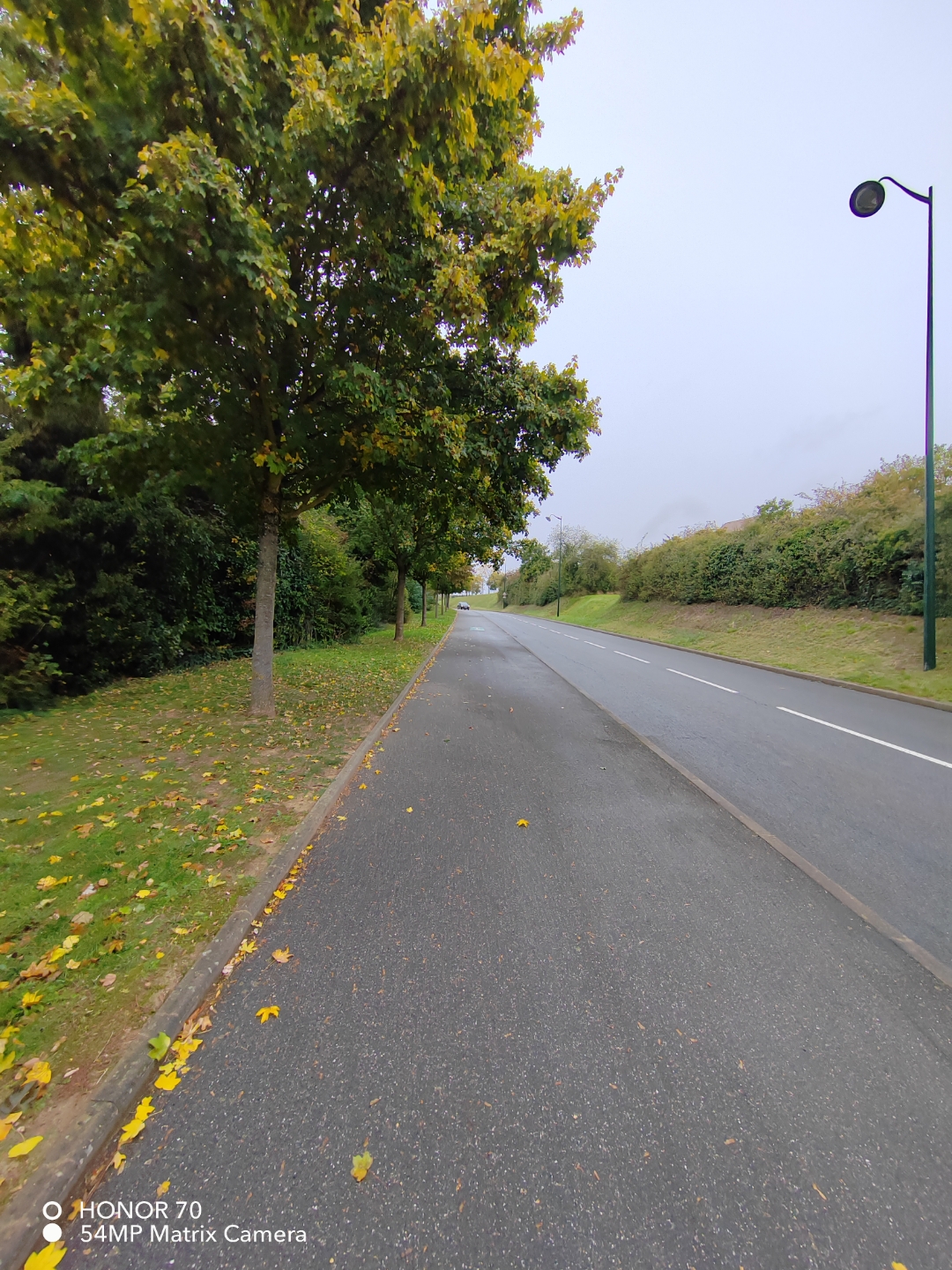 pimg-srchttpsiforum-dechihonorcomfrdataimages10000202210136cbf63e2